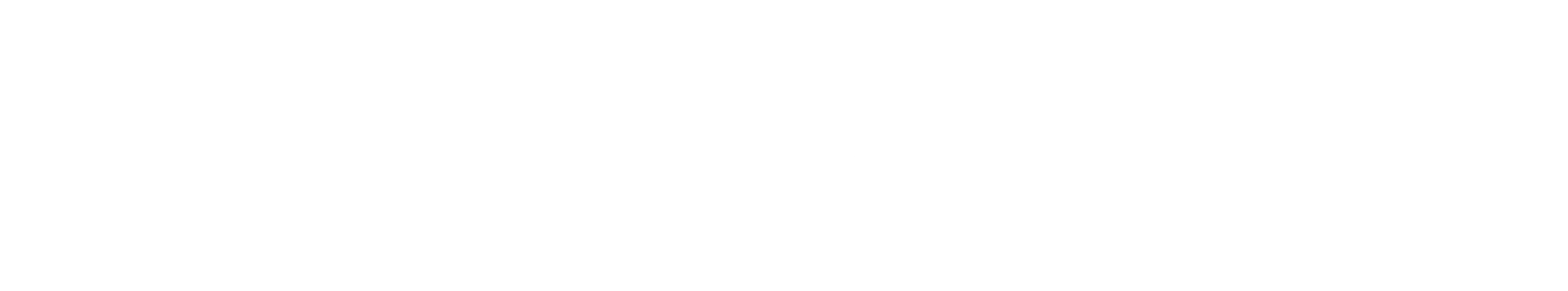 Permanent Jewelry Chains LINK x LOU