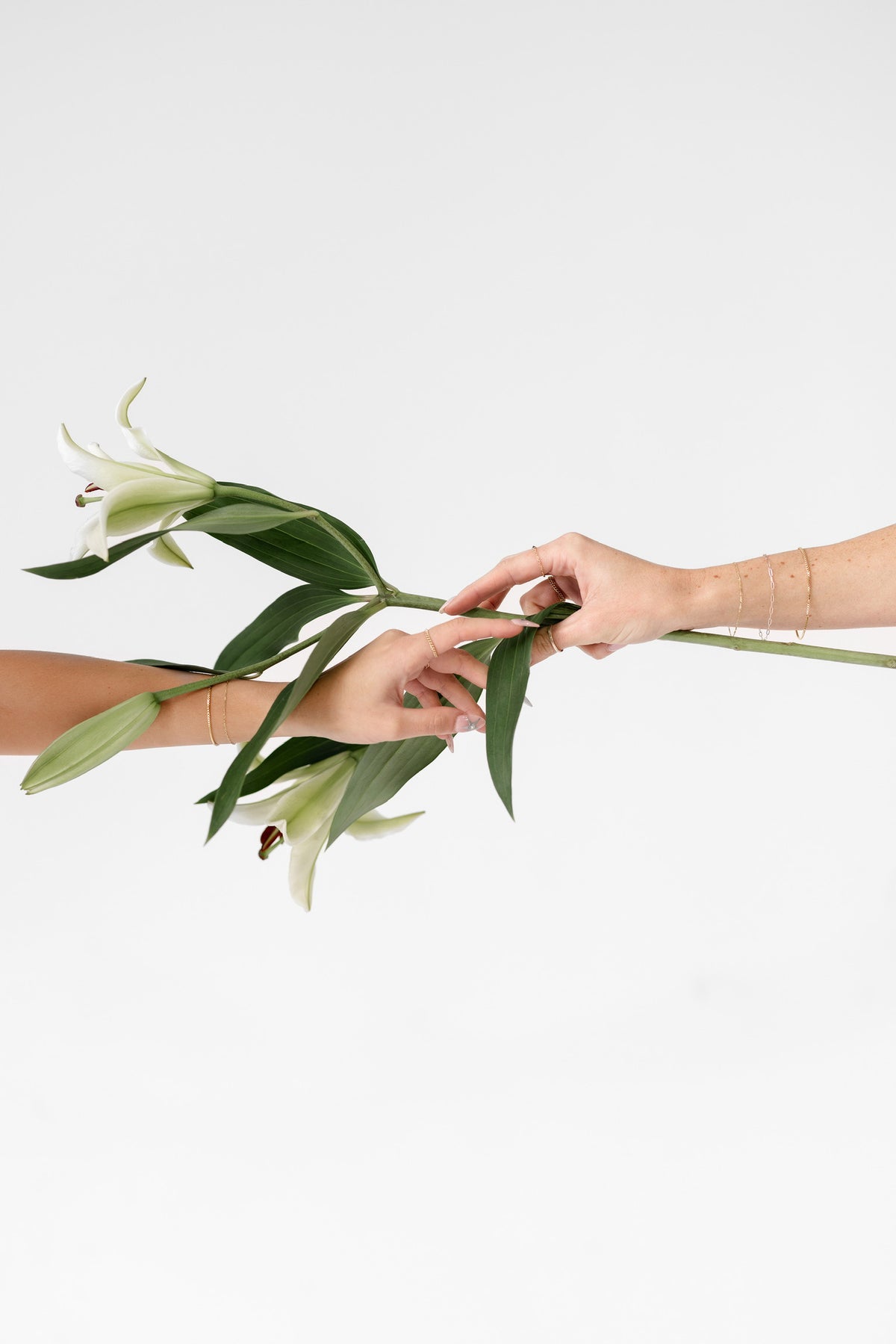 Frequently Asked Questions LINK x LOU